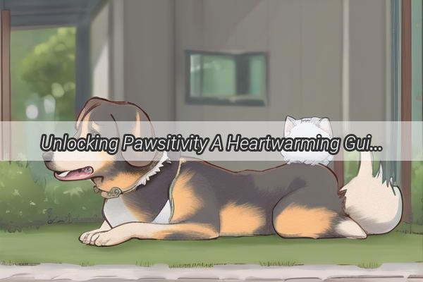 Unlocking Pawsitivity A Heartwarming Guide to Convincing Seniors to Adopt a Dog